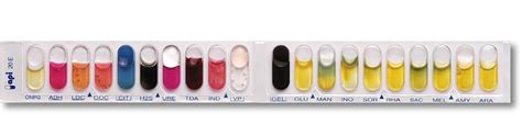 API and RAPID ID For Microbial Identification.